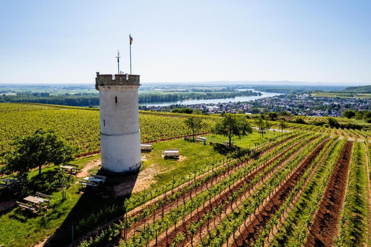 Best Western Wein- Und Parkhotel Nierstein Eksteriør bilde